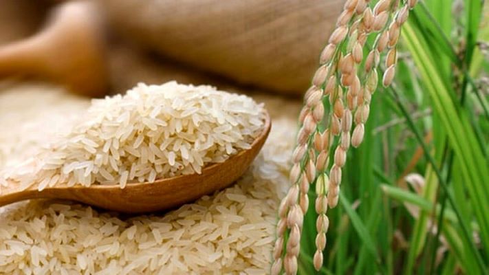 Rice Mill